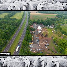 image sheep and aerial photo