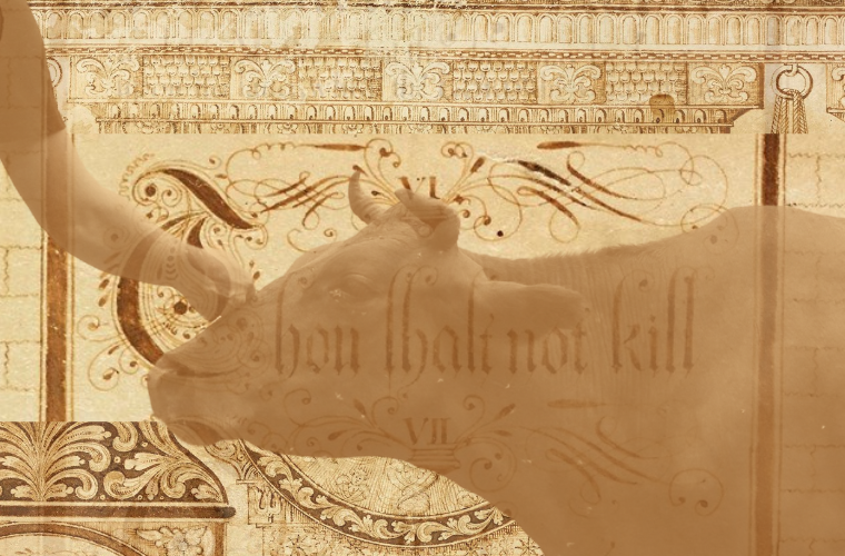 words thou shalt not kill and human petting cow