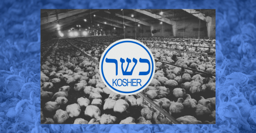 chickens in factory farm and kosher symbol