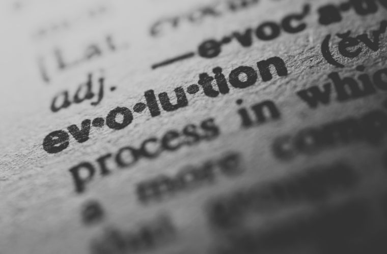 dictionary entry for evolution